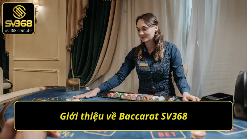 Tổng quan những thông tin thú vị về Baccarat SV368