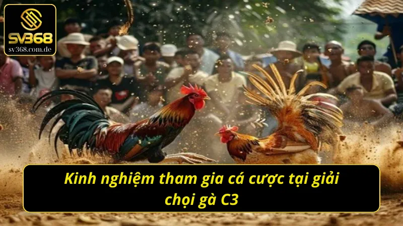 Kinh nghiệm chơi kèo ở giải đá gà C3 mới nhất