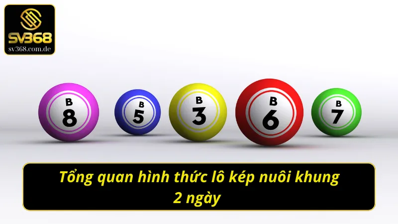 Vài nét cần biết về lô kép nuôi khung 2 ngày