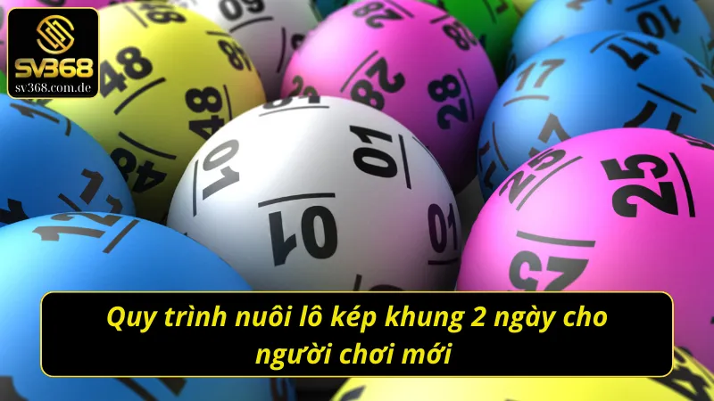 Quy trình bắt lô kép nuôi khung 2 ngày cho lô thủ